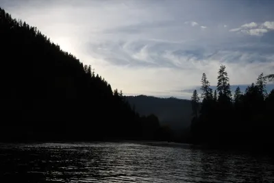 DSC_0291 (Large).JPG